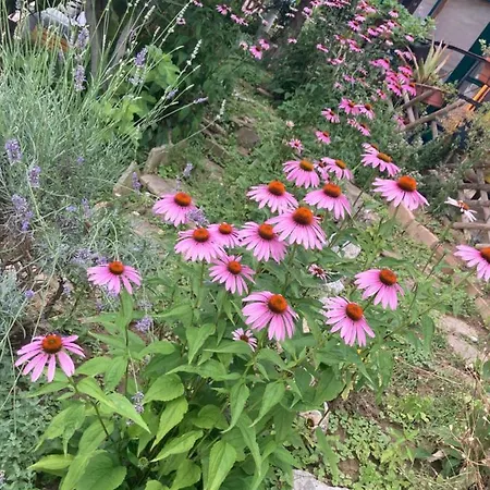 Outstandingfree Holzleiten