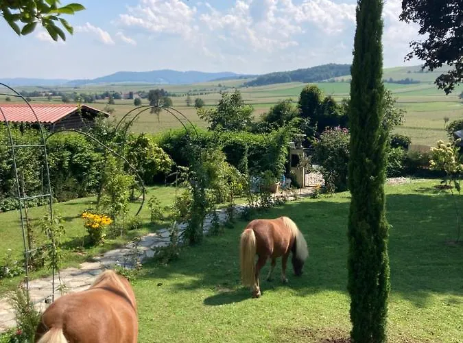 Outstandingfree * Holzleiten