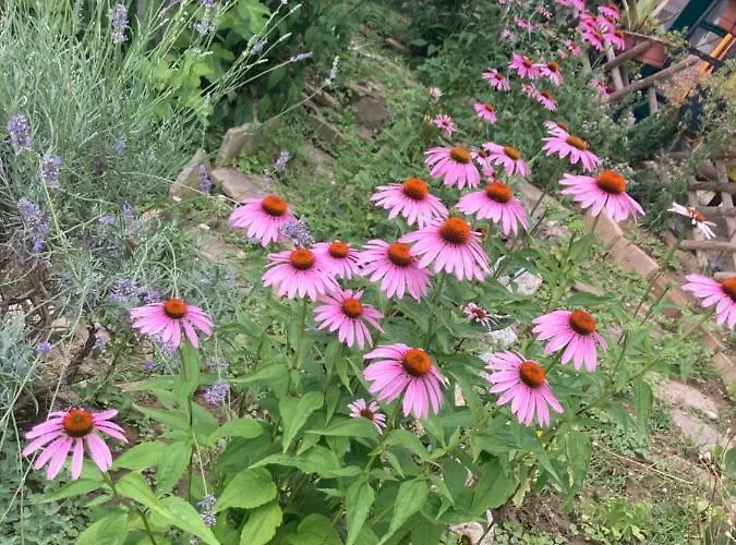 Outstandingfree Holzleiten