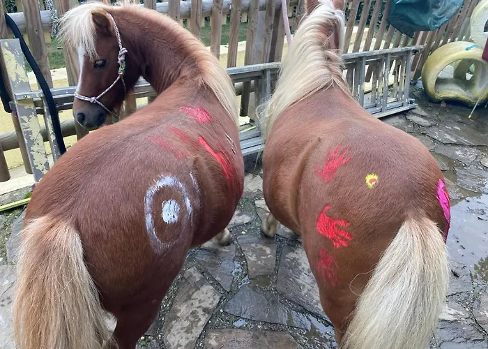 Outstandingfree Casa de Férias Holzleiten