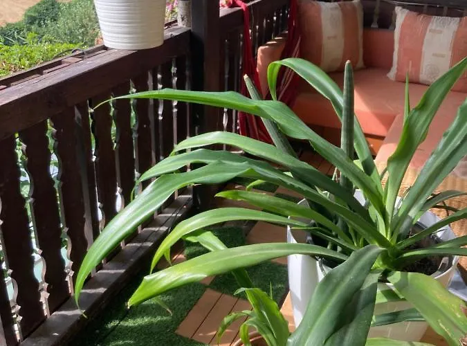 Outstandingfree Casa de Férias Holzleiten