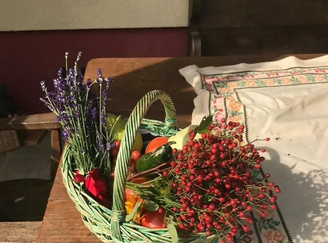 Casa de Férias Outstandingfree